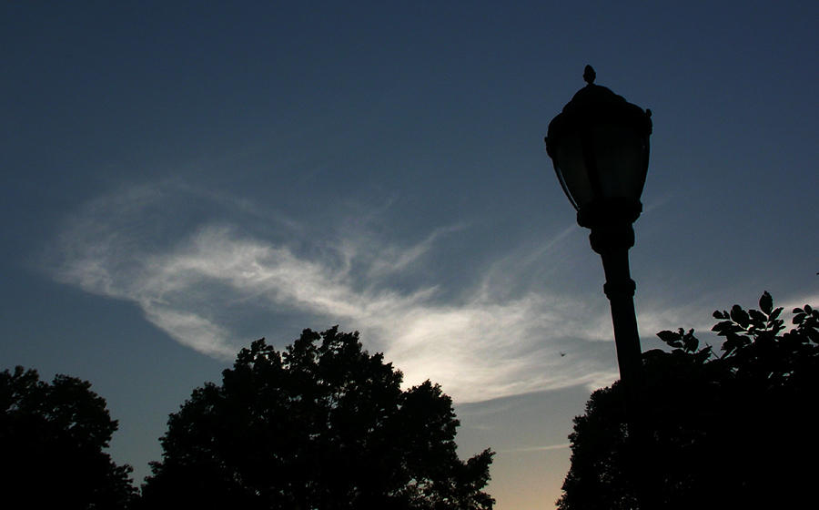 Large Sylph 8PM Prospect Park, Brooklyn, NY June 13 2008